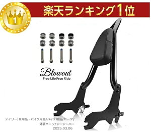 Blowout 22'' V[V[o[ [C_[ FXLRST FLSB Low Rider ST obNXg f^b`u \teC X|[cOCh M8\teC 2018N` ThobO