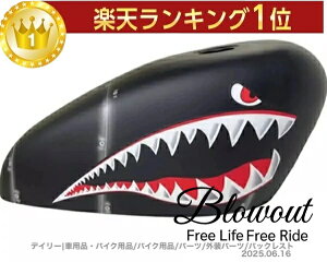 Blowout 2.1K ^NJo[ VF XL1200X XL1200V 48 72 tCX X|[cX^[ tFAO n[[ NCbN[X