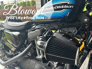 R[ GAN[i[ X|[cX^[ CNCA~ xl883 xl1200 48 nCt[ ACA tHeB[GCg n[[ K&N oX TbJ[