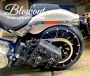 n[[ \teC ThobO  TChobO ThobN XCOA[ {gz_[ 1984`2017 \teC t@bg{[C iCggC FLSTN FLSTS FXST