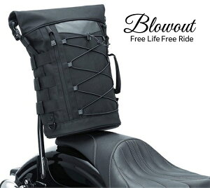 Blowout V[V[o[obO 30L ThobN X|[cX^[ _Ci \teC c[OTChobN XL883 XL1200 48 tH[eBGCg ACA V[V[o[ FX FL `bp[