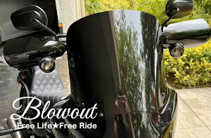 ハーレー M8 ソフテイル ツーリング FXLRS/T FLDE FXBB ハンドガード ナックルガード ウインドフェアリング プロテクター クラブスタイル ローライダー ST 117 FXLRST Deluxe FLDE Street Bob18-2025