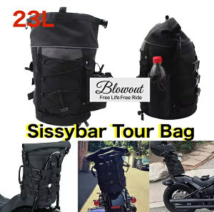 Blowout V[V[o[obO 23L ThobN X|[cX^[ _Ci \teC c[OTChobN XL883 XL1200 48 ACA V[V[o[ FX FL `bp[ fbhr[g _btobO N