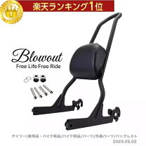 楽天市場】ソフテイル シーシーバーの通販