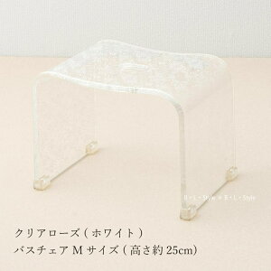 oX`FA MF25cmuNA[YNv zCg bsOΏۊO[ CCX C̈֎q C̃CX ӂ낢 C̈֎q Cp֎q Cp֎q C֎q C CX oX