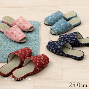 Xbp/TN 25.0cmiu[/lCr[u[/sN/bhj[a  qp p  OJ Vv   tėp]22SS[KW]