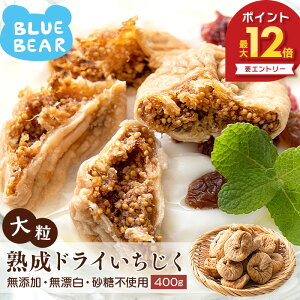 yԌGg[P12{Iz 嗱 n hC 400g gRY C`WN hCt[c  ԉ p XC[c َq 蕨   VR  pHi