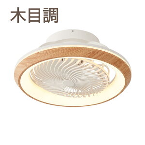 ??y5Nۏ؁z??V[Ot@Cg led 360°UAPPΉ dc[^[t F V[Ot@ É ߓd ȃGl 12 y  ^ Ɩ 8 10 Px 6iKʒ @ 