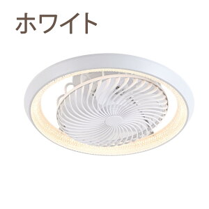 ??y5Nۏ؁z??V[Ot@Cg led 360°UAPPΉ dc[^[t F V[Ot@ É ߓd ȃGl 12 y  ^ Ɩ 8 10 Px 6iKʒ @ 