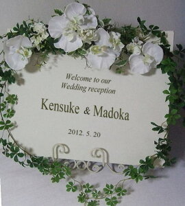 Ӓ̃EFJ{[hyyMt_zE͂ȂԔƃO[̃EFJ{[hEuC_jEEGJ{[hԁECTG}EGJ{[hEݗp