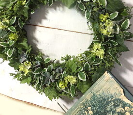 楽天市場 ドライフラワー 種類 植物 オリーブ 花 観葉植物 花 ガーデン Diy の通販