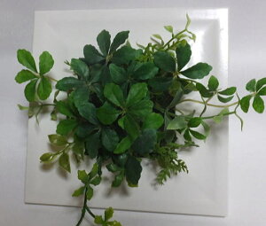 VK[oC̃t[fUC@VK[oCEVK[oC̃tFCNACr[ yO[AWz yԁzyA[gt[zyG}zyCTG}zGRȐ