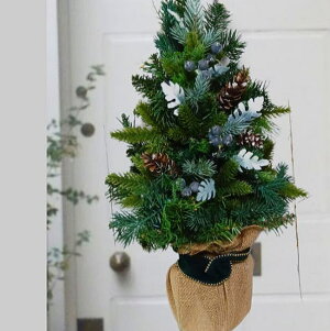 ǂɊ|yNX}XEc[zNX}Xc[ENX}X@ԁE͂ȂԁE[XEqo͂Ȃc[