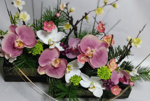 ~̉؁Eȃ蕨EaԁkA[gt[lj̉ԁEijEkảԁlEG}ECTG}jEaEΕENnEԁEaEảԁE~