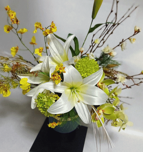 a_ES̉؂j̉ԁEijESkảԁlEG}ECTG}jEaEΕENnEԁEaEảԁE~