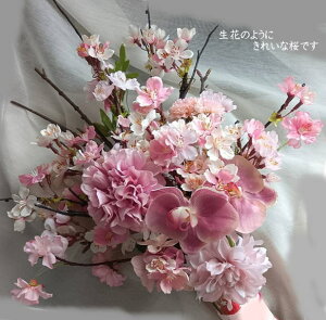 aԂ̑蕨ỷԑzJXjEj̉ԁEeւ̑ԌjEƎEwEސEjEảԁlEG}ECTG}jEaEΕENnEԁE