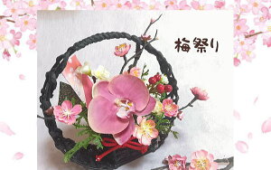 ~܂E~̉؏t̔~܂EЂȂ܂葢ԁECTG}a