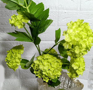 ro[ï{}ro[iEԁEXm[{[ECTG}uC_ẺԃA[gt[Eu[PEԑE͂Ȃԕ̓EaEO[[̎}́EԁECt