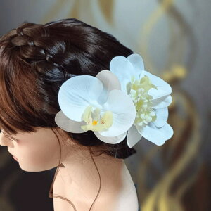 R`EƃAWTCӒ̔EwAhXEuC_EwAhX