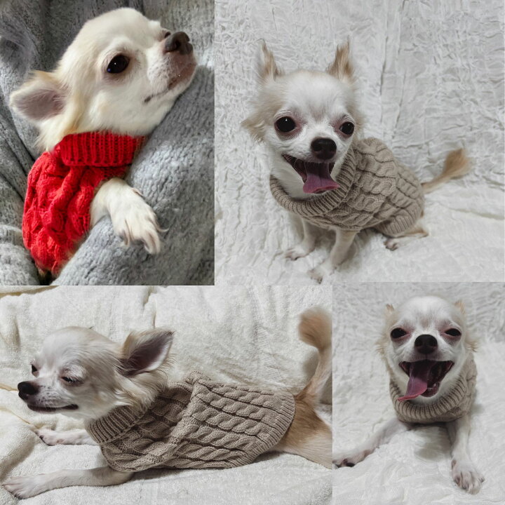 楽天市場】犬 服 ニット 春 小型犬 防寒 無地 あったかセーター 犬用 