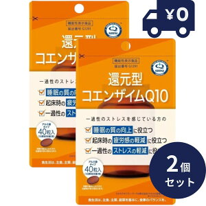 Ҍ^RGUCQ10 (40) 2Zbg @\\LHi { j}bgP Tvg ^Cv 挒 g ֗ coenzyme JlJNIeB[ ̂̎_  J