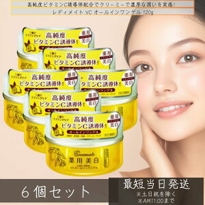 ACX fBCg VC I[CQ 120g ×6Zbg  et ϐ@Go[Cg JCC 납ꂢ bF VCI[CQ ZQ t XLPA 