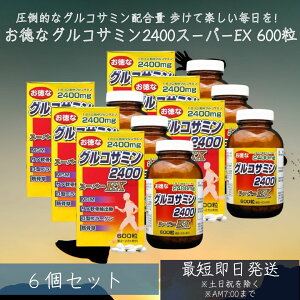 ȃORT~2400X[p[EX 600 60`75@6Zbg | ORT~ RhC` ANeBu T  GLX MSM 2^R[Q ؍