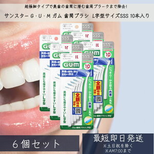 TX^[ GEUEM K ԃuV L^ 10{ ×6Zbg ɍ׃^CvP TCYSSS ԃuV I[PAObY