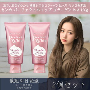 ZJ p[tFNgzCbv R[Q in A 120g 2Zbg t@CgDfC  SENKA   痿 tH[