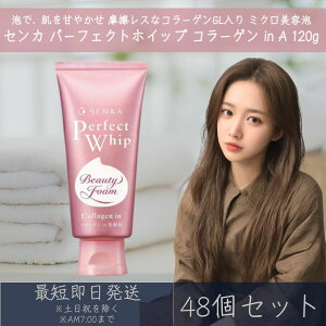 ZJ p[tFNgzCbv R[Q in A 120g 48Zbg t@CgDfC  SENKA   痿 tH[