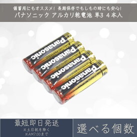 【選べる個数】パナソニック アルカリ乾電池 4本入 単3形 LR6T 長期保存 乾電池 金パナ Panasonic
