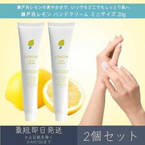 y˓z nhN[ ~jTCY 20g 2Zbg  fC[A}Wp fC[A} Mtg v[g { ˓  LEMON VgX Yk ێ ΍ n