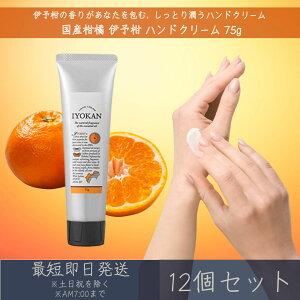 yYknhN[z ɗ\ nhN[ 75g 12Zbg  fC[A}Wp fC[A} Mtg v[g { 悩 k ێ ΍ nhPA z 