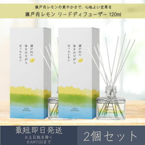 y˓z[hfBt[U[ 120ml 2Zbg  fC[A}Wp fC[A} Mtg v[g { ˓  k [tOX bNX Ce