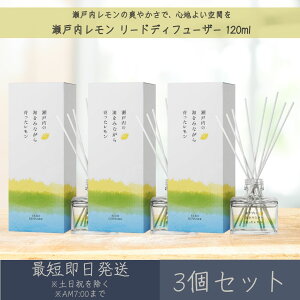 y˓z[hfBt[U[ 120ml 3Zbg  fC[A}Wp fC[A} Mtg v[g { ˓  k [tOX bNX Ce