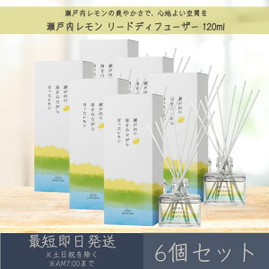 y˓z[hfBt[U[ 120ml 6Zbg  fC[A}Wp fC[A} Mtg v[g { ˓  k [tOX bNX Ce