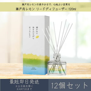 y˓z[hfBt[U[ 120ml 12Zbg  fC[A}Wp fC[A} Mtg v[g { ˓  k [tOX bNX Ce