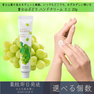 【選べる個数】【富士山ぶどう】 ハンドクリーム ミニ 20g │ デイリーアロマジャパン デイリーアロマ ギフト プレゼント 日本製 富士山 ぶどう 葡萄 保湿 乾燥対策 ハンドケア 手荒れ対策