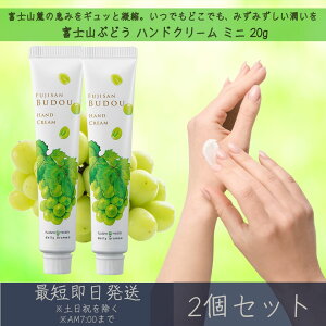 【富士山ぶどう】 ハンドクリーム ミニ 20g 2個セット │ デイリーアロマジャパン デイリーアロマ ギフト プレゼント 日本製 富士山 ぶどう 葡萄 保湿 乾燥対策 ハンドケア 手荒れ対策 マスカ