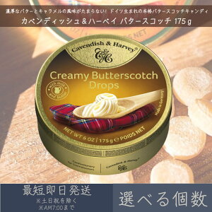 yIׂzyJxfBbVn[xCz o^[XRb` 175g b Creamy Butterscotch Drops َq    LfB LfB[ Aَq hCc Mtg v[g ʓL