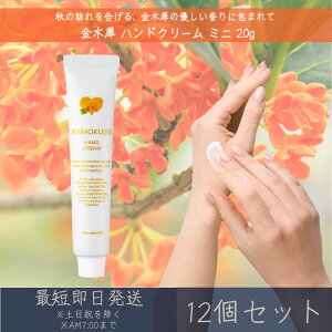 y؍ҁz nhN[ ~j 20g 12Zbg  fC[A}Wp fC[A} Mtg v[g { ؍ LNZC ێ ΍ nhPA r΍ coLIC