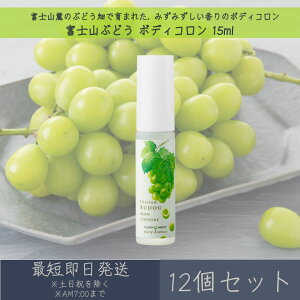 yxmRԂǂz{fBR 15ml 12Zbg  fC[A}Wp fC[A} Mtg v[g { xmR Ԃǂ  R  tOX {fBPA gїp {f