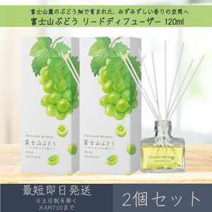 yxmRԂǂz[hfBt[U[ 120ml 2Zbg  fC[A}Wp fC[A} Mtg v[g { xmR Ԃǂ [tOX bNX CeA A