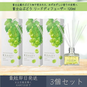 yxmRԂǂz[hfBt[U[ 120ml 3Zbg  fC[A}Wp fC[A} Mtg v[g { xmR Ԃǂ [tOX bNX CeA A