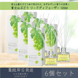 yxmRԂǂz[hfBt[U[ 120ml 6Zbg  fC[A}Wp fC[A} Mtg v[g { xmR Ԃǂ [tOX bNX CeA A