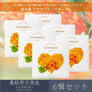 y؍ҁz A}oXpE_[ 40g 6Zbg  fC[A}Wp fC[A} Mtg v[g { ؍ LNZC ێ oXObY oX\g  LNZC