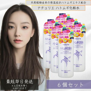 C~@i`G ngMϐ XLRfBVi[@500ml 6Zbg {́@@F ( ngMێϐ ) ϐ