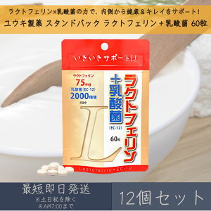 yELz X^hpbN NgtF { _ 60 12Zbg b T|[g  e Nێ Tv Tvg EC-12 h{⏕Hi Y  