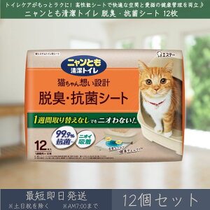 jƂ gC ELERۃV[g 12 12Zbg | GXe[ L ˂ lR gC LpgCV[g VXegC gCV[g L R ybgpi ybgV[c Lpi j