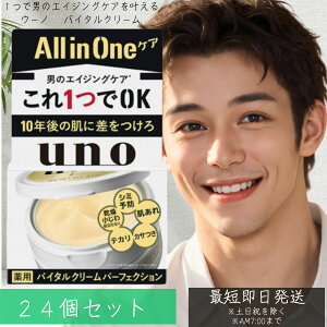 【ウーノ(uno)】 バイタルクリーム パーフェクションa 90g 24個セット フェースケア ファイントゥデイ 男のエイジングケア オールインワン クリーム